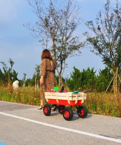 Outdoor Wagon All Terrain Pulling Wood Railing Air