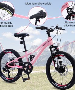 20 Inch Mountain Bike For Girls And Boys