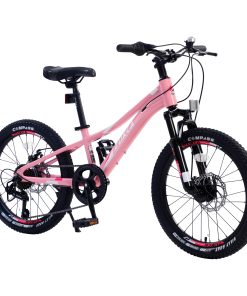 20 Inch Mountain Bike For Girls And Boys