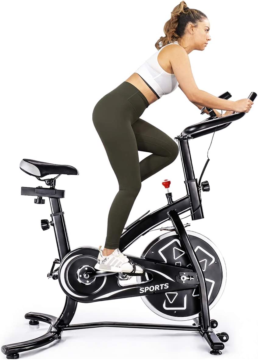 Merax Exercise Spin Bike