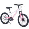 Zukka 20 Inch Mountain Bike for Boys and Girls