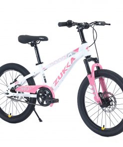 Zukka 20 Inch Mountain Bike for Boys and Girls
