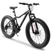 Ecarpat 26 Inch Fat Tires Mountain Bike