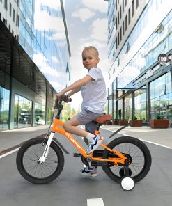 ECARPAT A14114 14 Inch Kids Bike