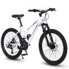E-CARPAT S24103 24 Inch Mountain Bike For Teenagers