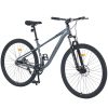 29 Inch Wheels Single Speed Mountain Bike