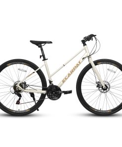 ECARPAT A28250 700c Road Hybrid Bike