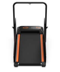 Dog Treadmill Run Walk