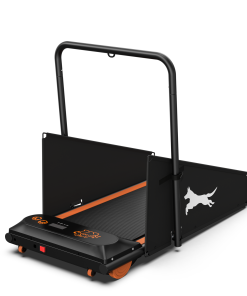 Dog Treadmill Run Walk