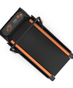 Dog Treadmill Run Walk