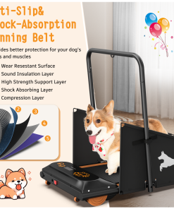 Dog Treadmill Run Walk