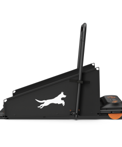 Dog Treadmill Run Walk