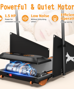 Dog Treadmill Run Walk