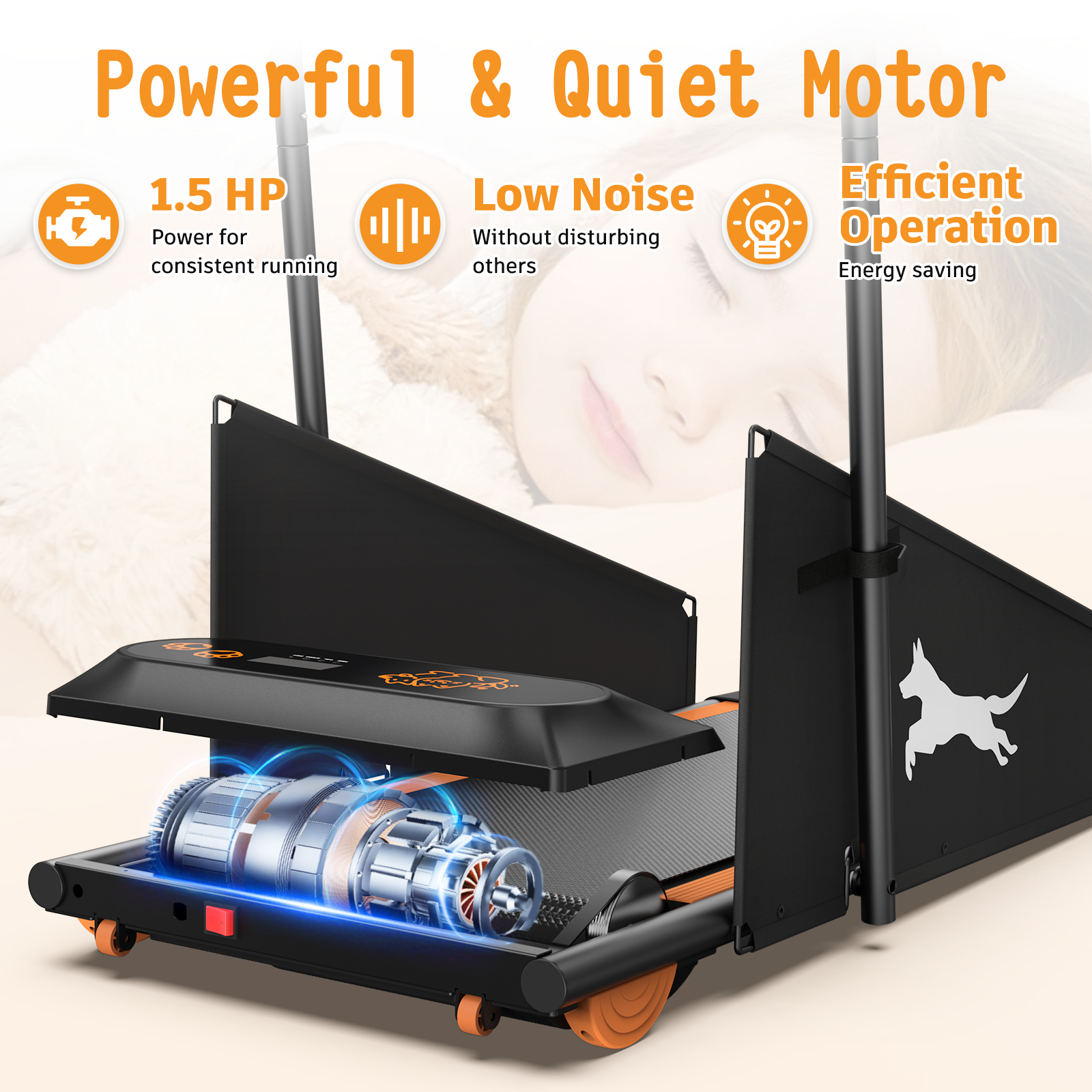 Dog Treadmill Run Walk