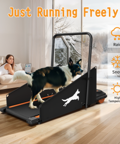 Dog Treadmill Run Walk