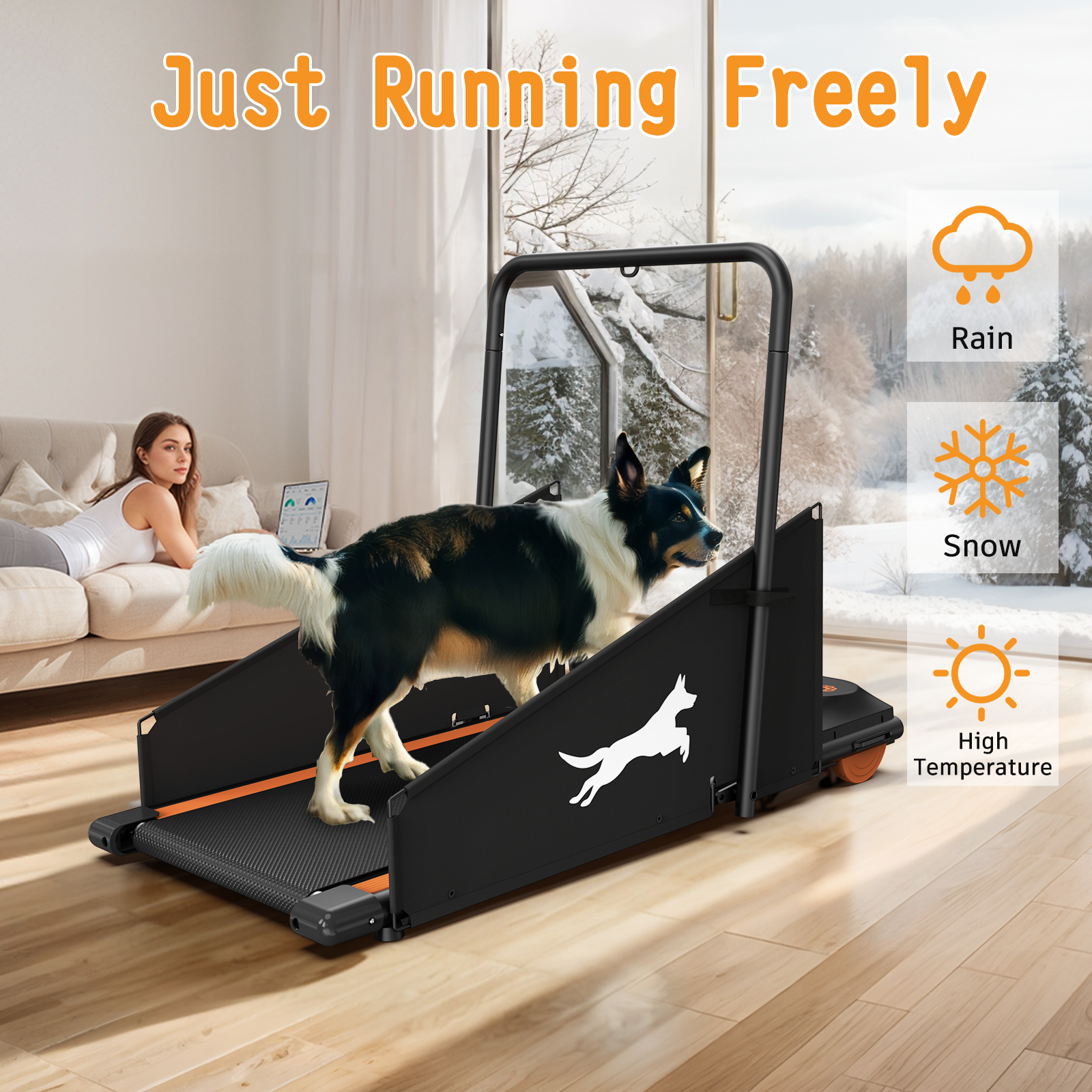Dog Treadmill Run Walk