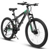 E-CARPAT A2460 Mountain Bike