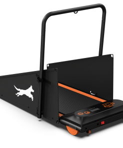 Dog Treadmill Run Walk