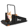 Dog Treadmill Run Walk