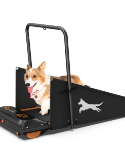 Dog Treadmill Run Walk