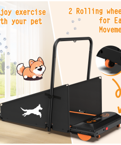 Dog Treadmill Run Walk
