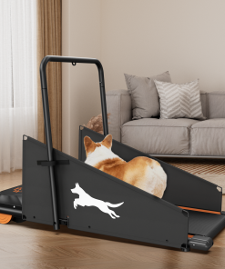 Dog Treadmill Run Walk