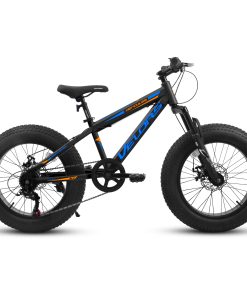 E-CARPAT V20235 20 Inch Fat Tire Bike