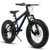 E-CARPAT V20235 20 Inch Fat Tire Bike