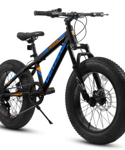 E-CARPAT V20235 20 Inch Fat Tire Bike