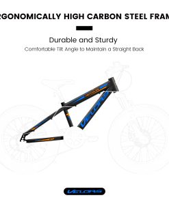 E-CARPAT V20235 20 Inch Fat Tire Bike