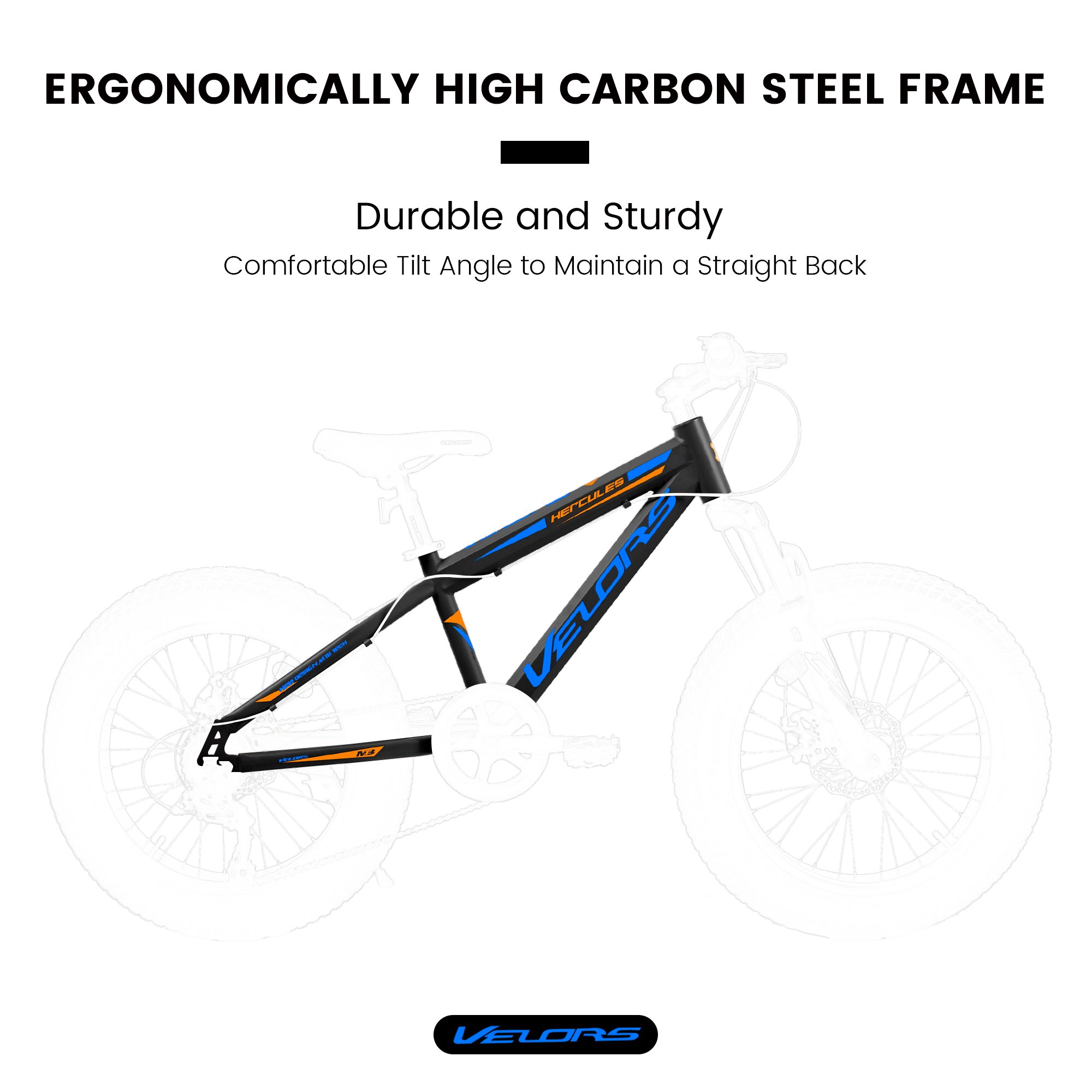 E-CARPAT V20235 20 Inch Fat Tire Bike