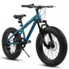 E-CARPAT V20235 20 Inch Fat Tire Bike