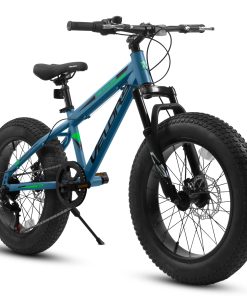 E-CARPAT V20235 20 Inch Fat Tire Bike