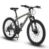 E-CARPAT S24102 24 Inch Mountain Bike