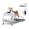Quiet Smart Pet Treadmill