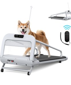 Quiet Smart Pet Treadmill