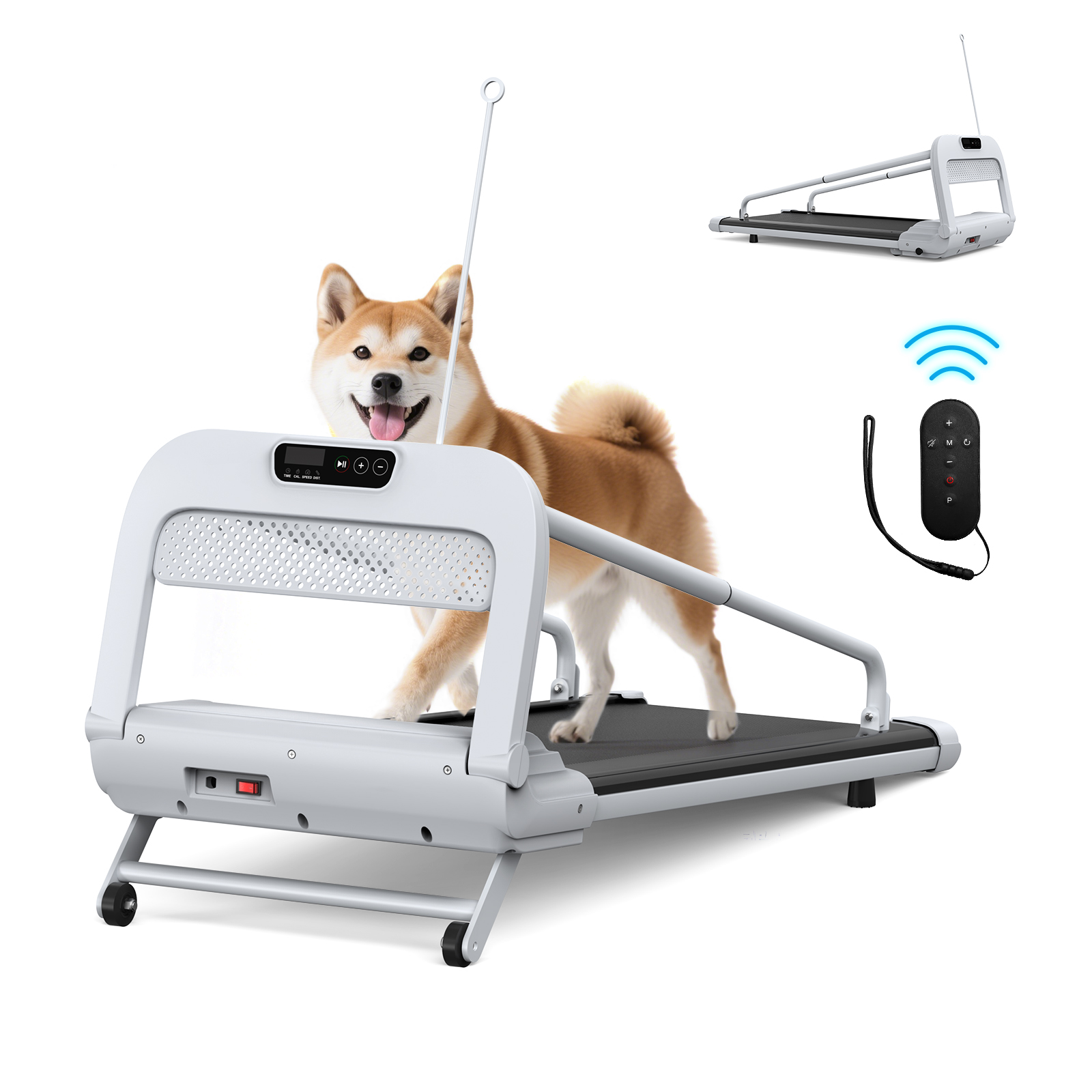 Quiet Smart Pet Treadmill