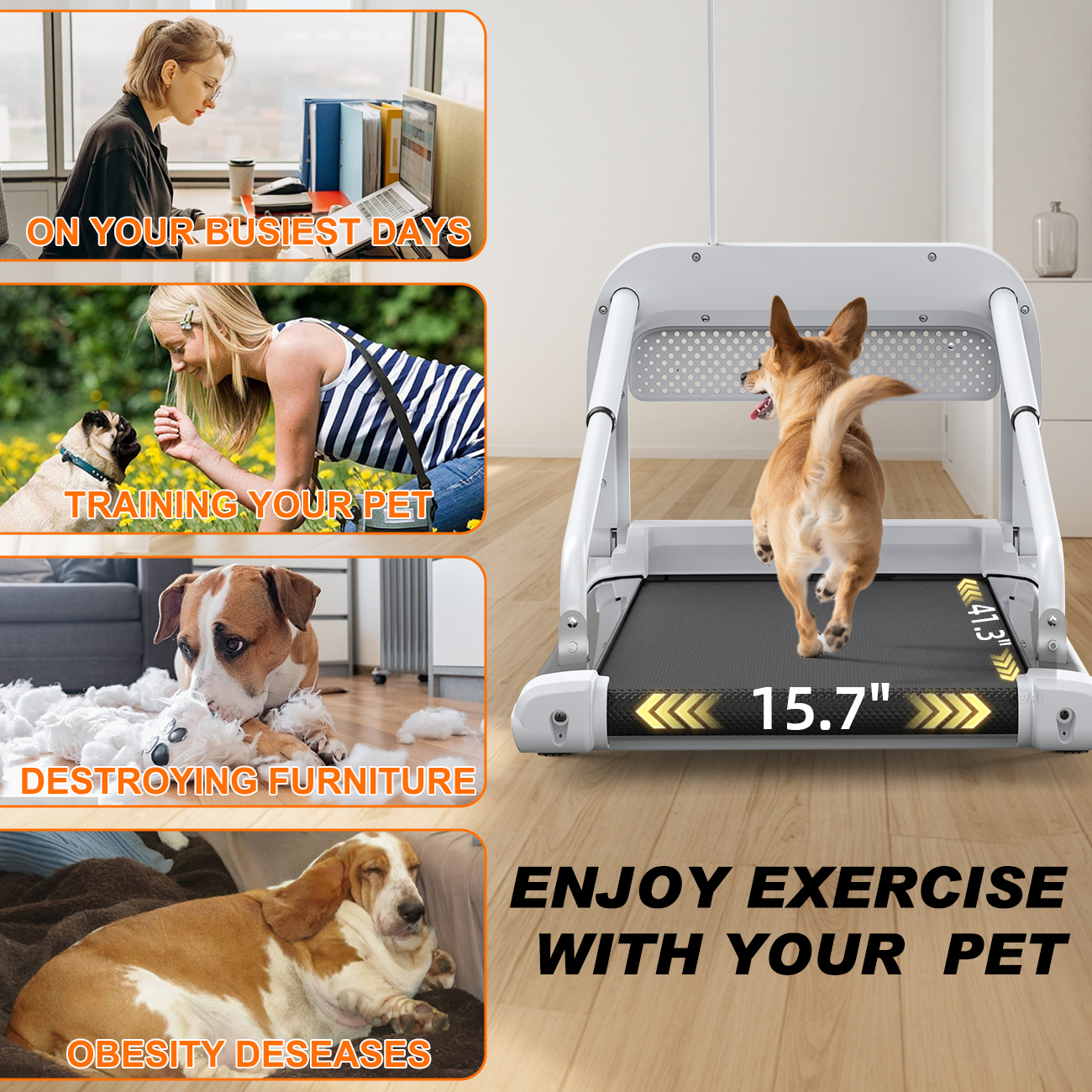 Quiet Smart Pet Treadmill
