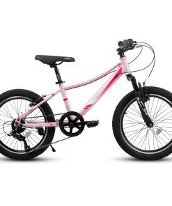 ECARPAT A20261 20 Inch Children's Bicycle