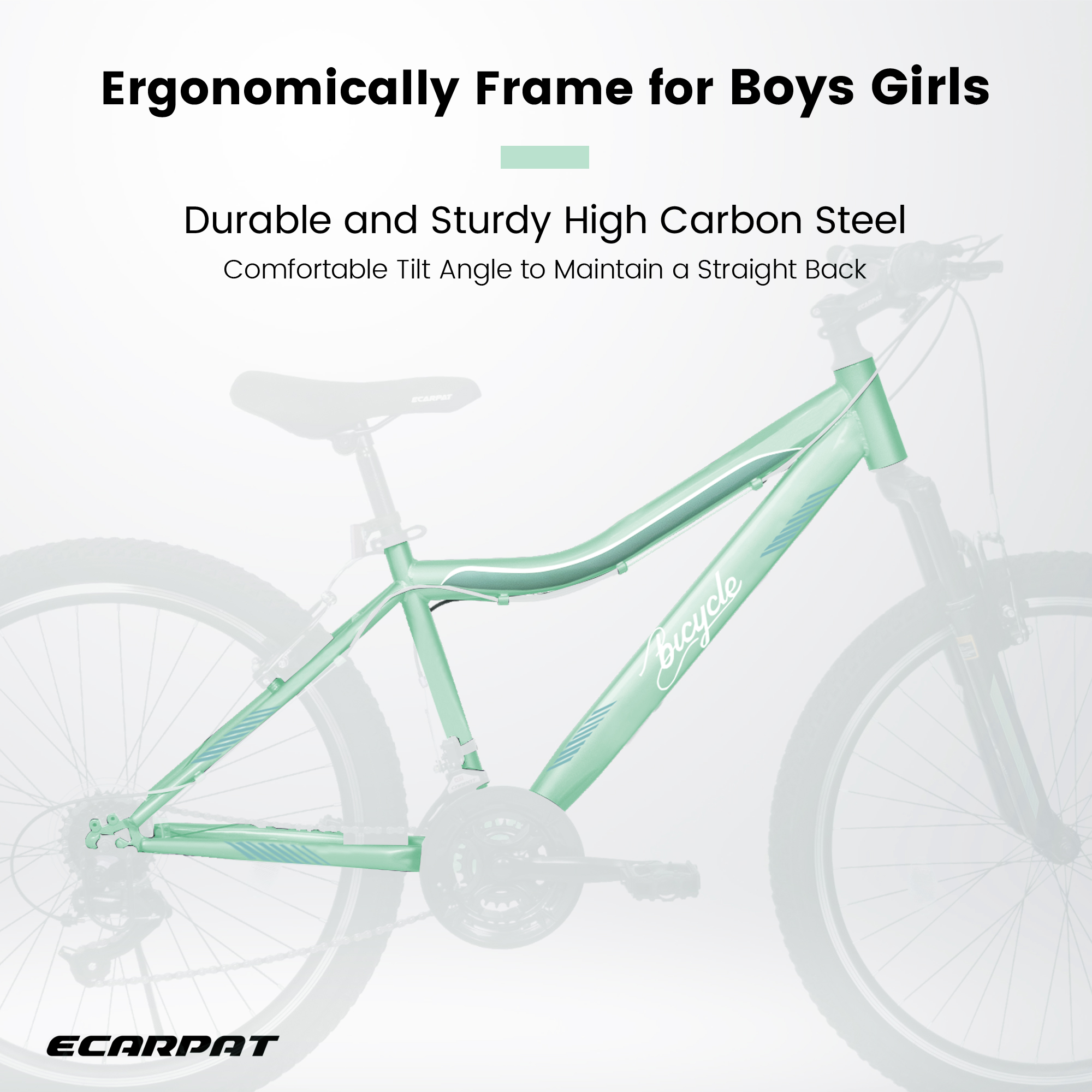 ECARPAT A26208D Mountain Bike 24/26 Inch