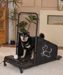 Dog Treadmill For Medium Dogs