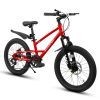 ECARPAT A20184 20 Inch Kids Mountain Bike