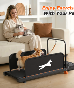 Small Dog Treadmill 2026 Edition