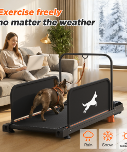 Small Dog Treadmill 2026 Edition