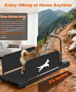Small Dog Treadmill 2026 Edition