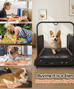 Small Dog Treadmill 2026 Edition