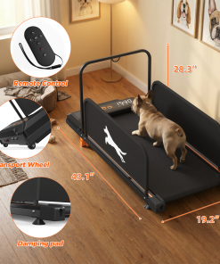 Small Dog Treadmill 2026 Edition