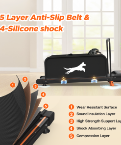 Small Dog Treadmill 2026 Edition