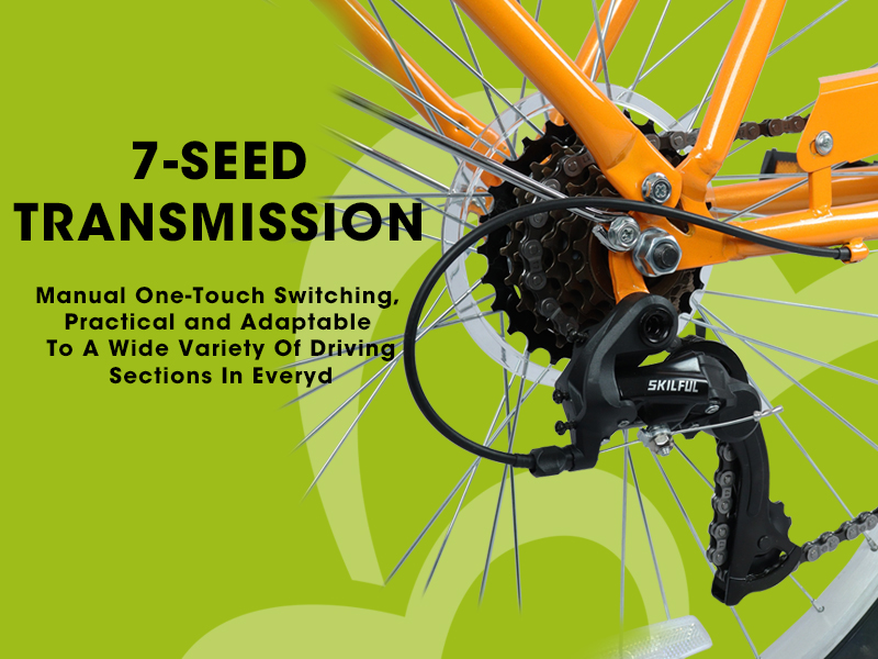 E-CARPAT A26265B 26 Inch 7-Speed Beach Cruiser Bike