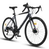 E-CARPAT A28320R 700Cx28 Road Bike
